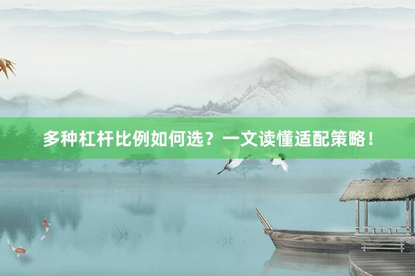 多种杠杆比例如何选？一文读懂适配策略！